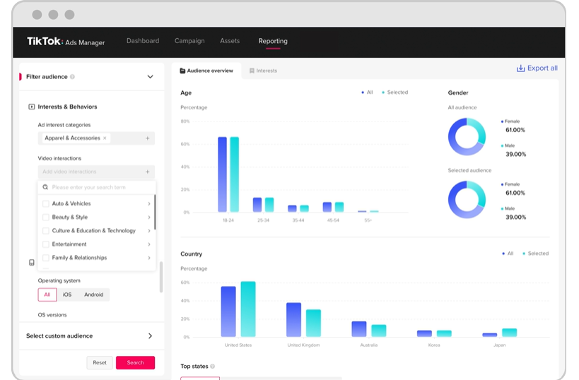 Tela Audience Overview do TikTok.