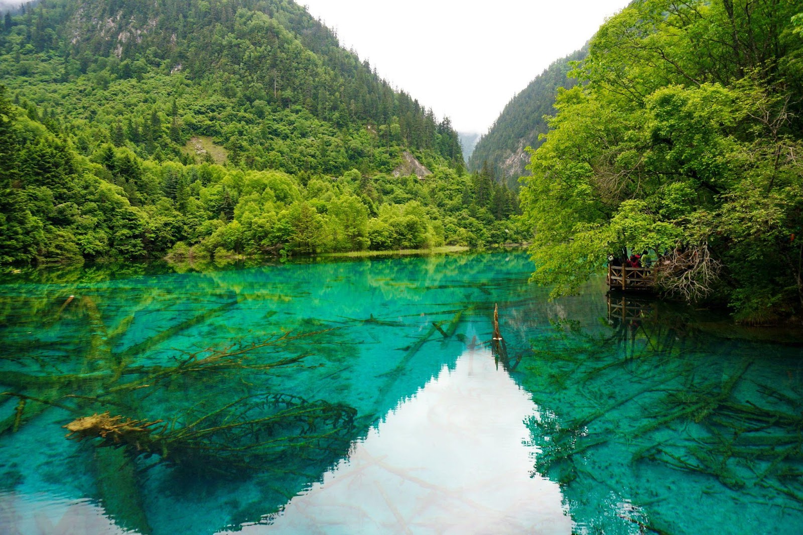 Hành Trình Khám Phá Cửu Trại Câu: Vẻ Đẹp Thiên Nhiên Huyền Bí Và Trải –  Travel One