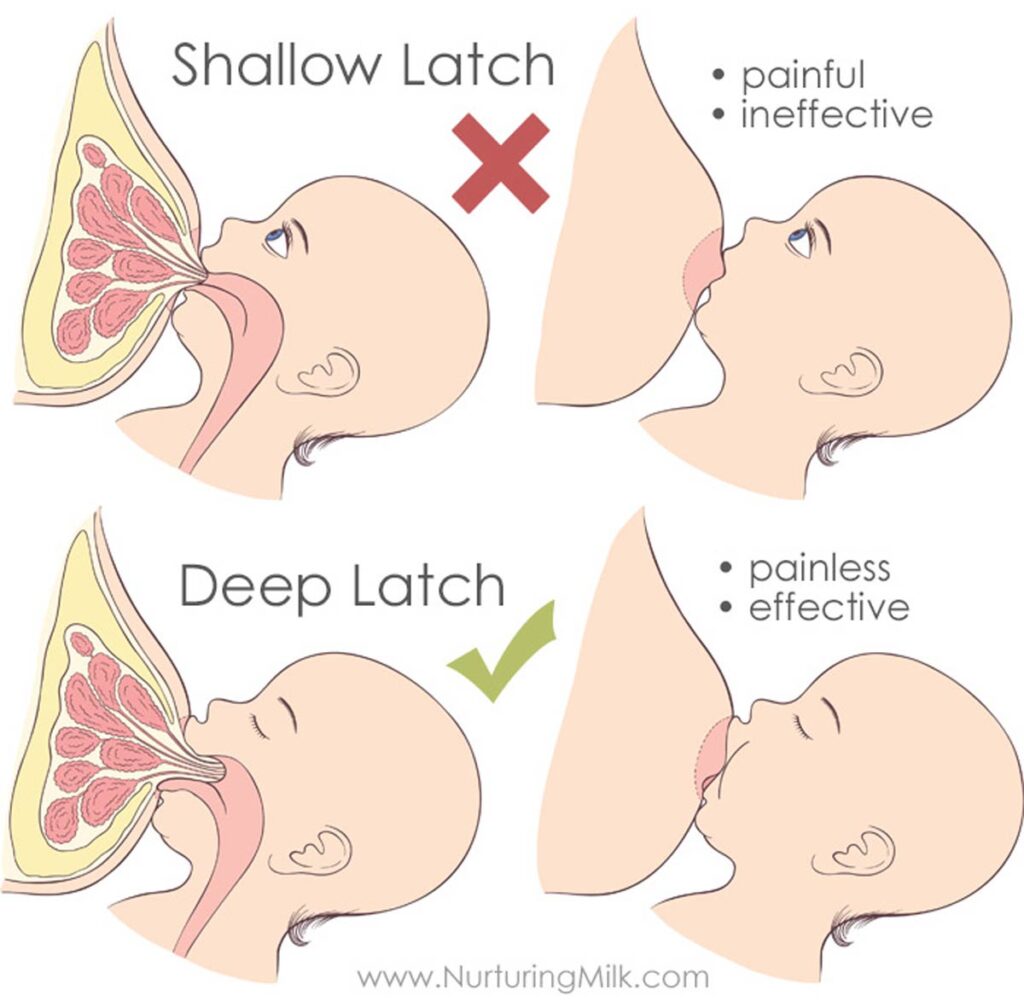 baby latching diagram