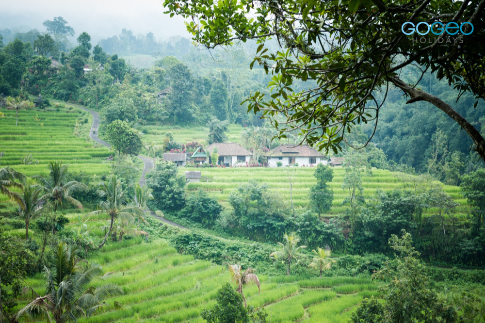 Image of greenery and village homes