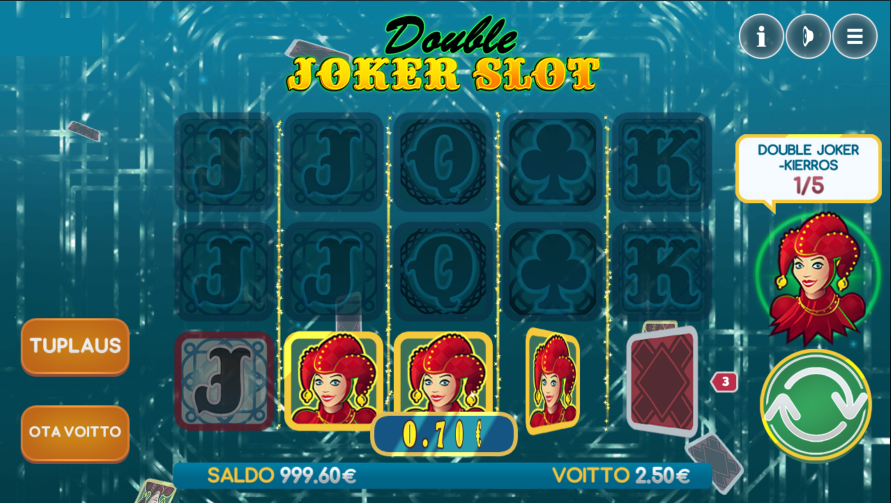 Näyttää Double Joker Slot -kolikkopelin, jossa ruudulla näkyvät rullat ja jokerisymbolit. Pelaajalla on mahdollisuus tuplata voittonsa tai ottaa voitto.
