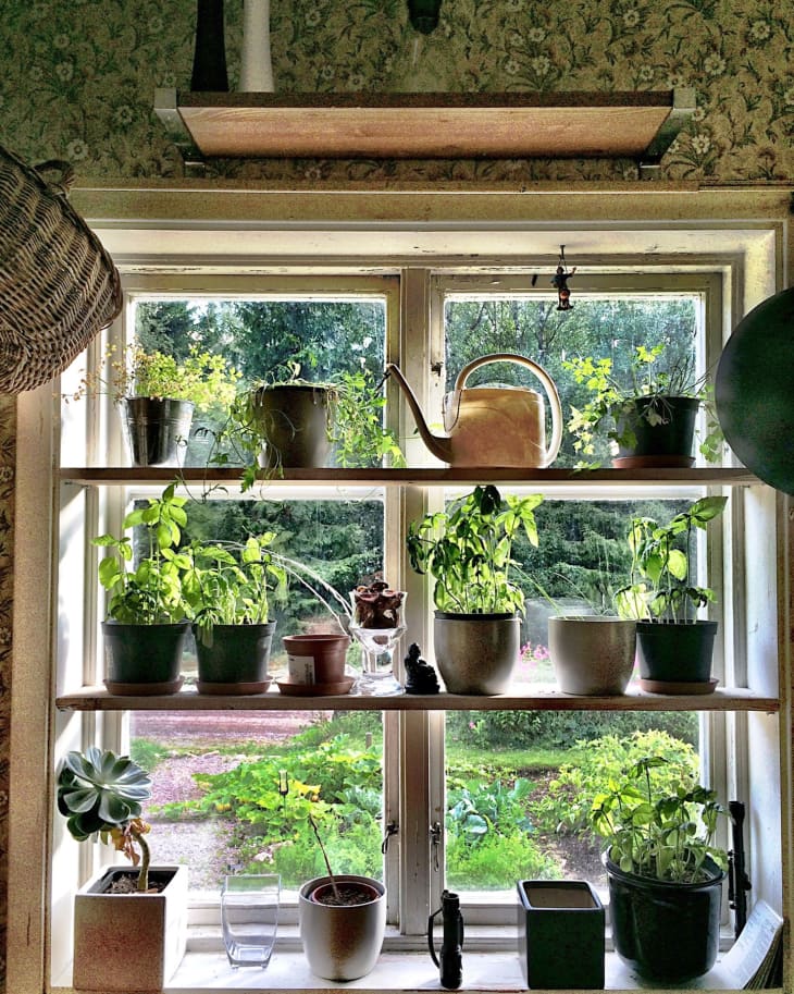 Kitchen windowsill with a built-in herb planter.