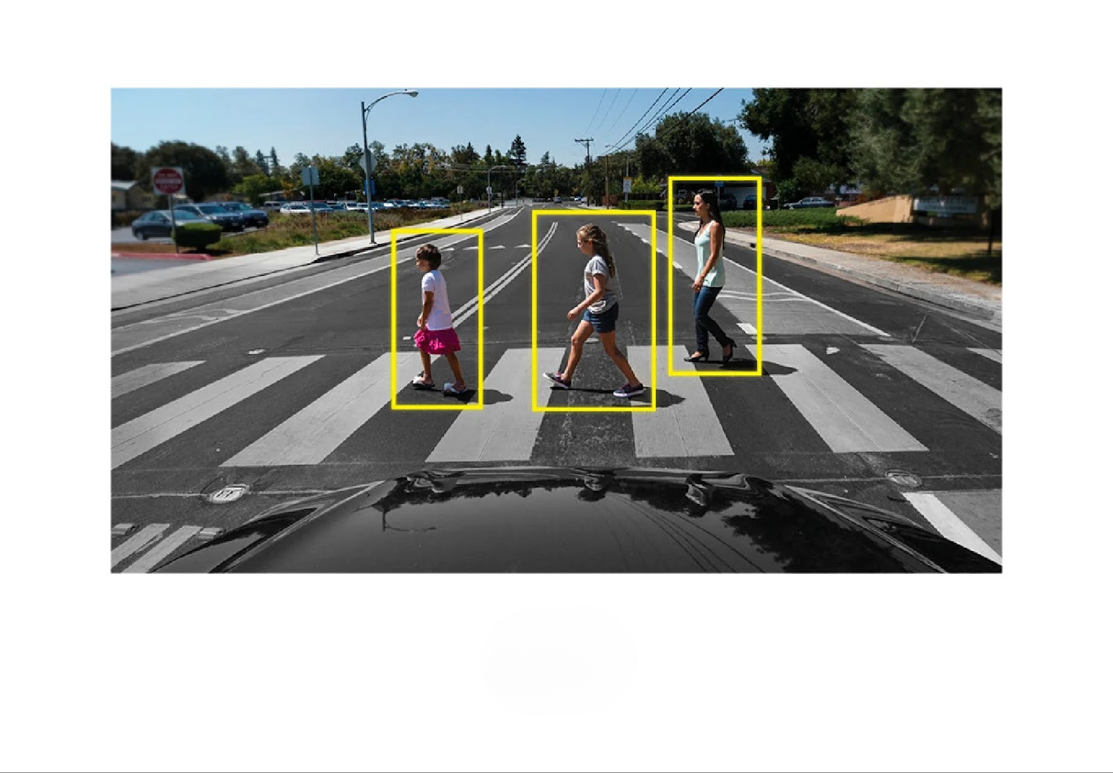 AI for Pedestrian