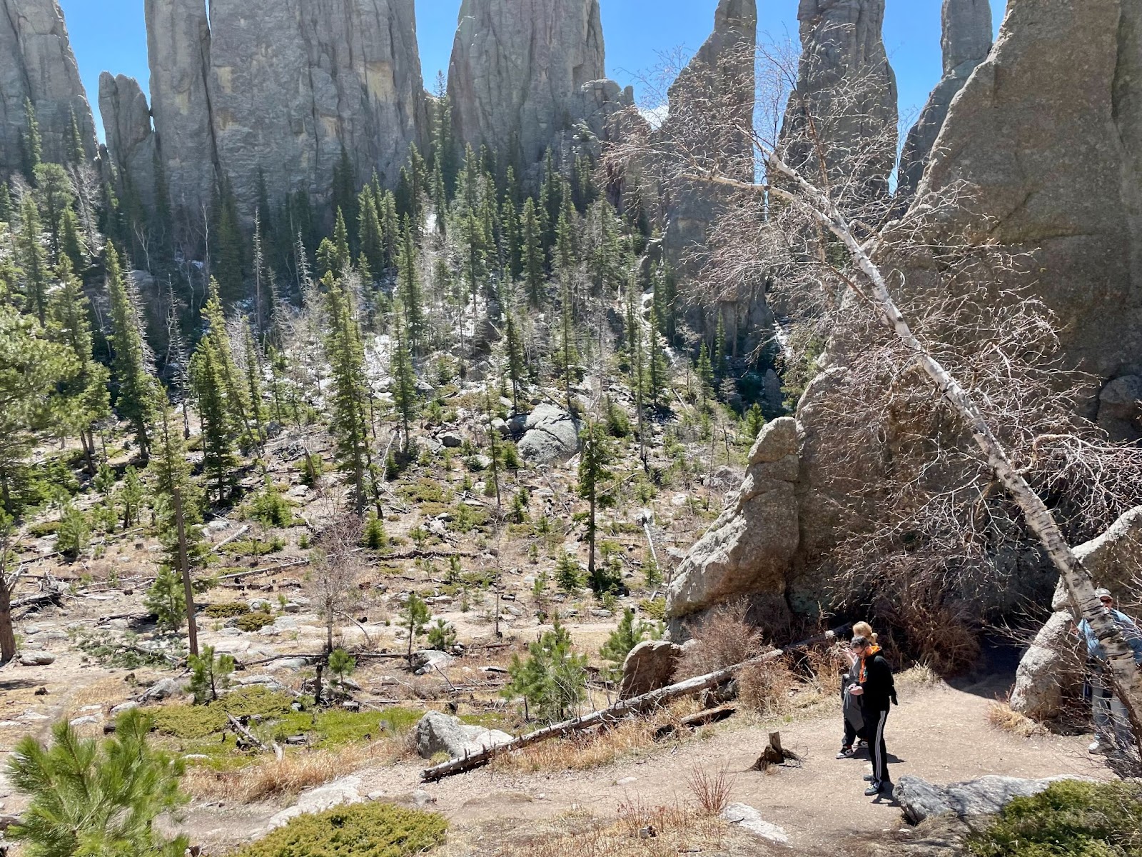 Image of Cathedral Spires