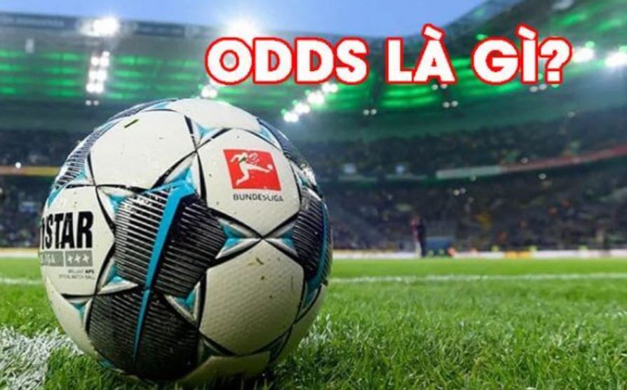 Giải thích Odds là gì tại 8DAY? 