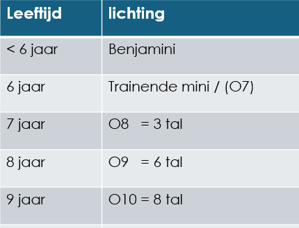 Afbeelding met tekst, schermopname, Lettertype, nummer Automatisch gegenereerde beschrijving