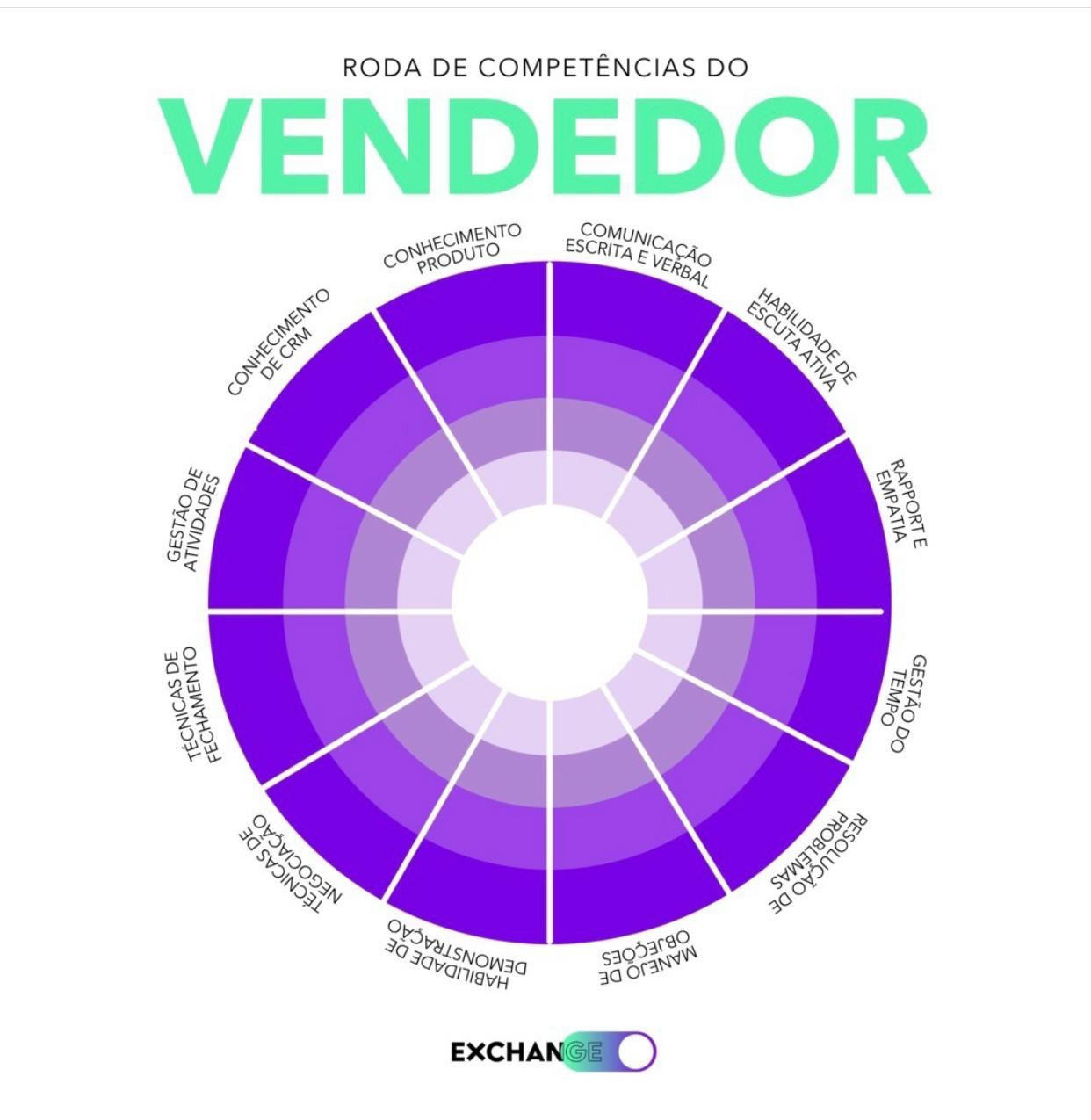 Microlearning em Vendas - Roda de Competências do Vendedor