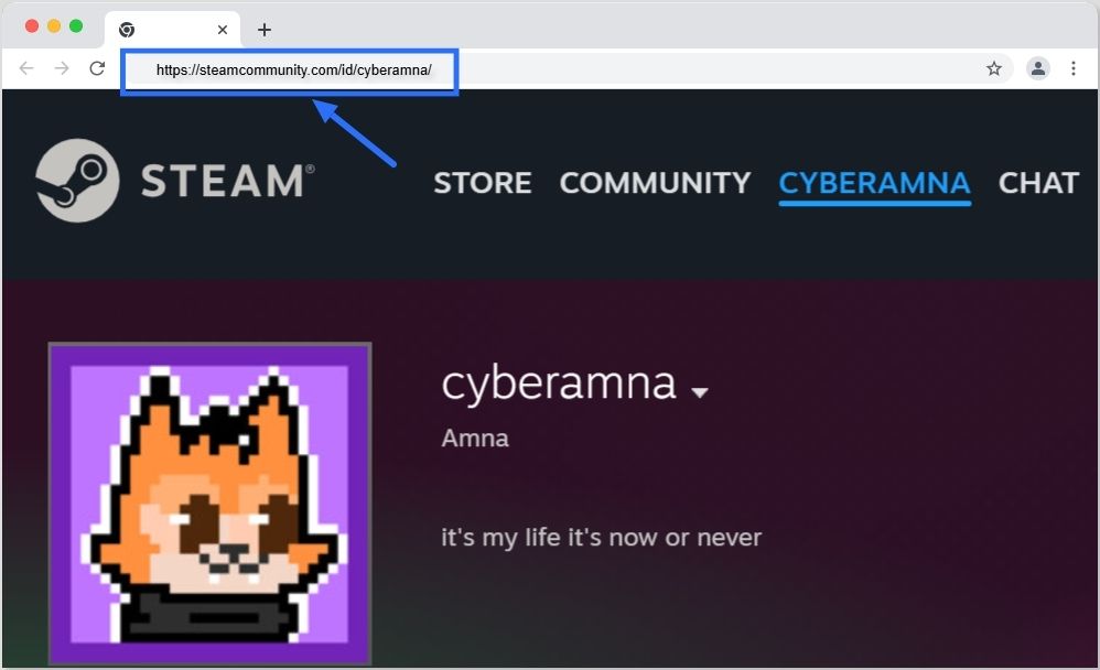 Copy your Steam profile URL