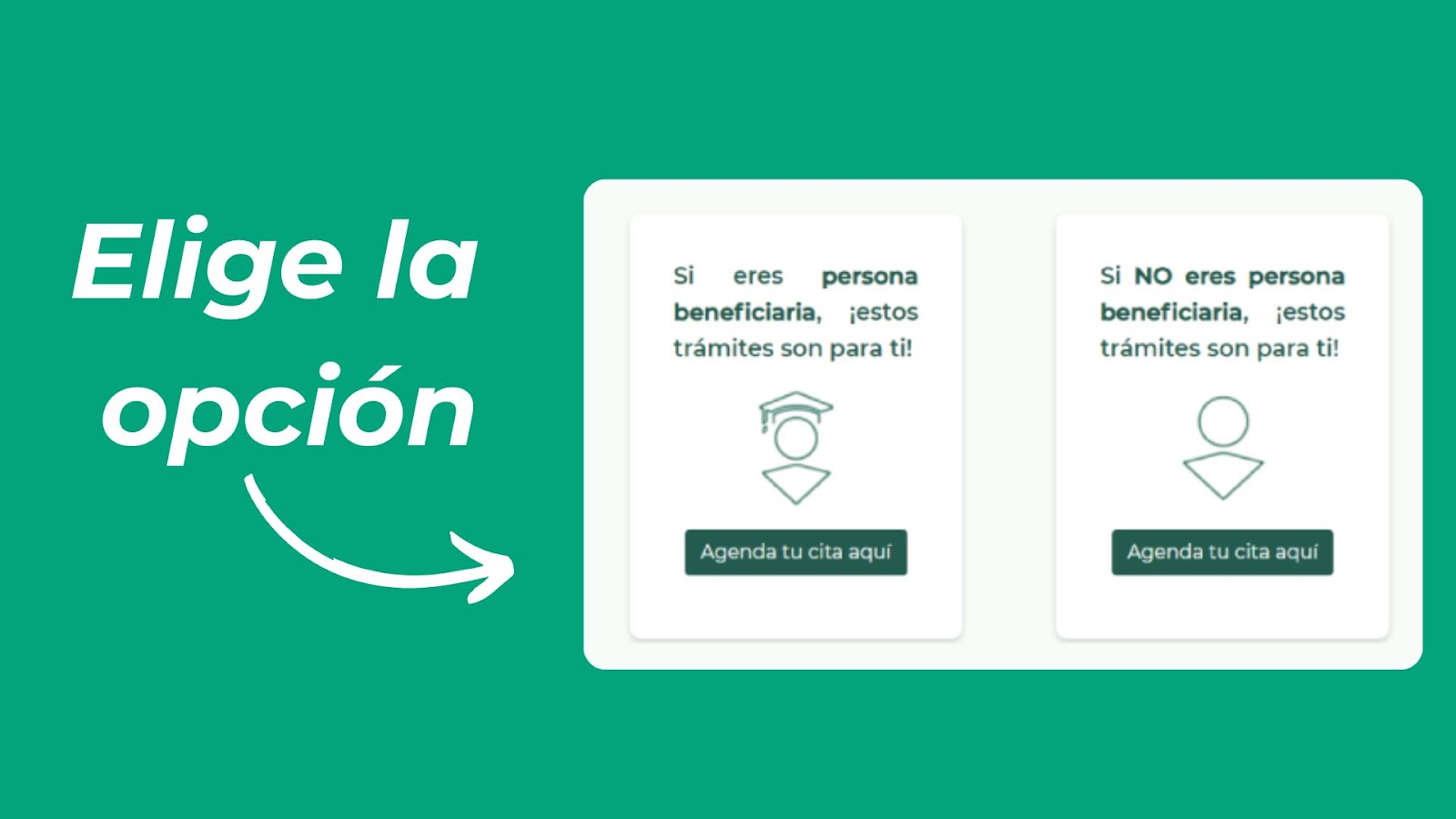 elige la opcion