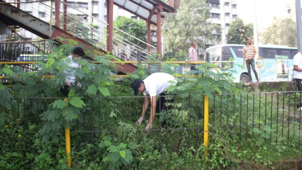 Urban Gardening Biodiversity Sustainability ESG CSR NGO Earth5R Mumbai
