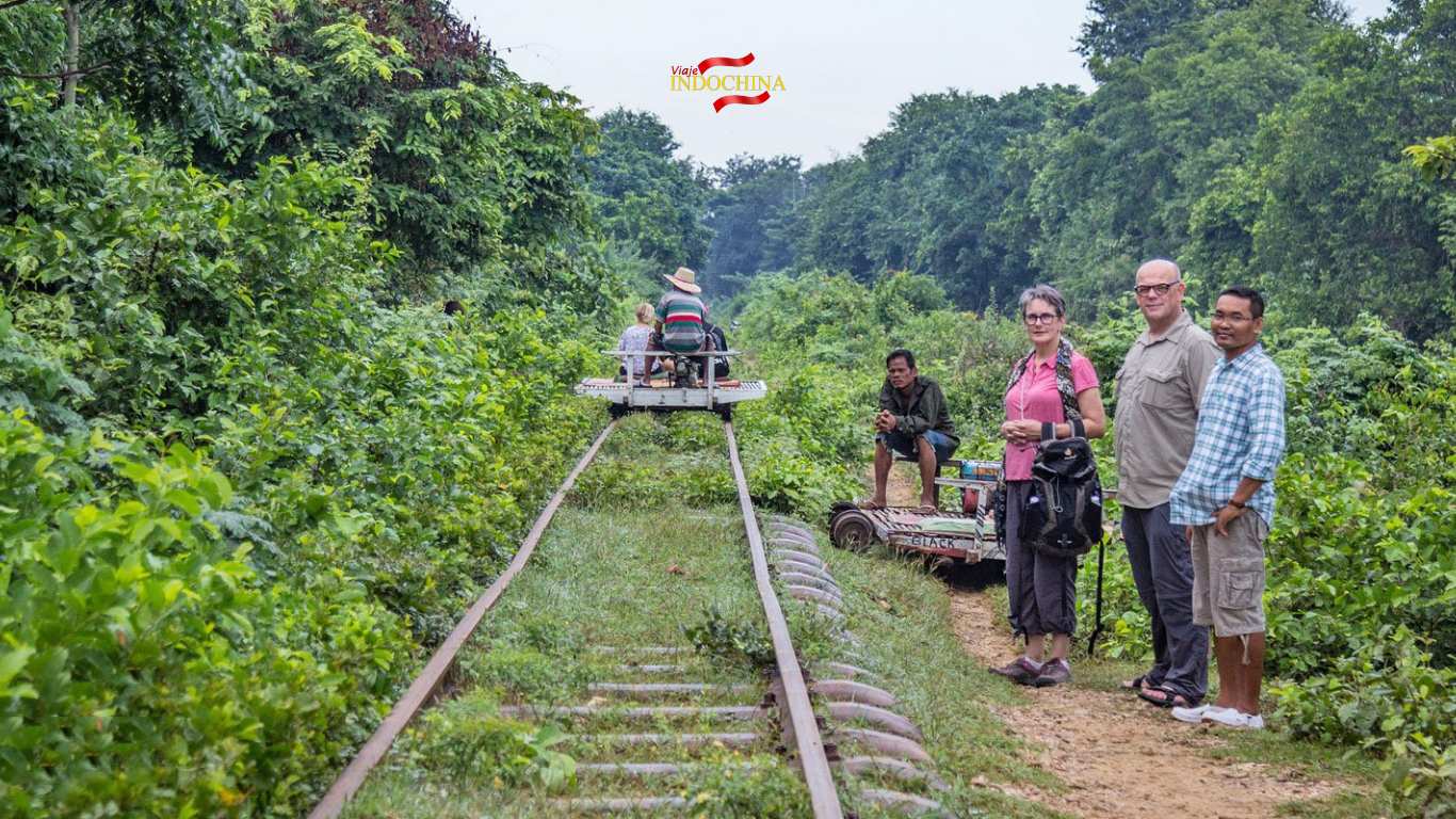 Tren de bambú (norry)