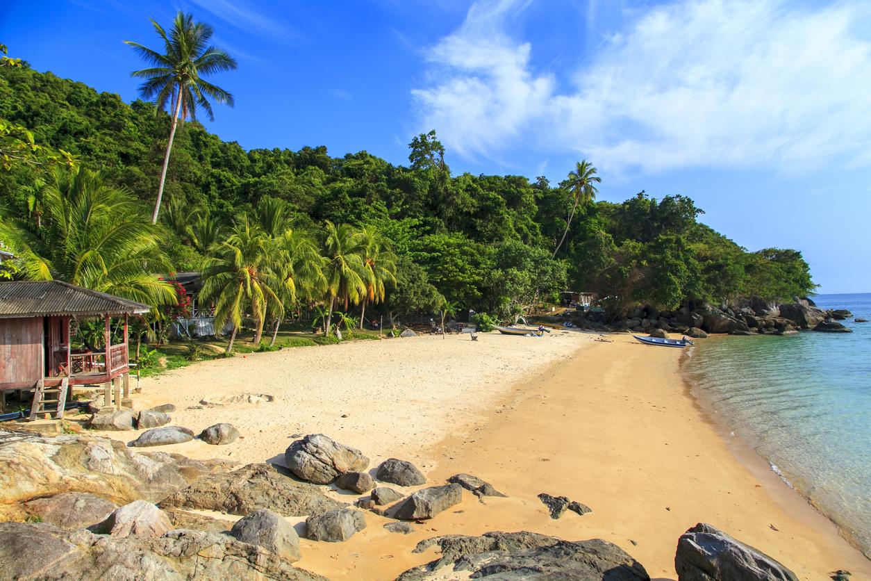 A sandy beach with trees and rocks

Description automatically generated