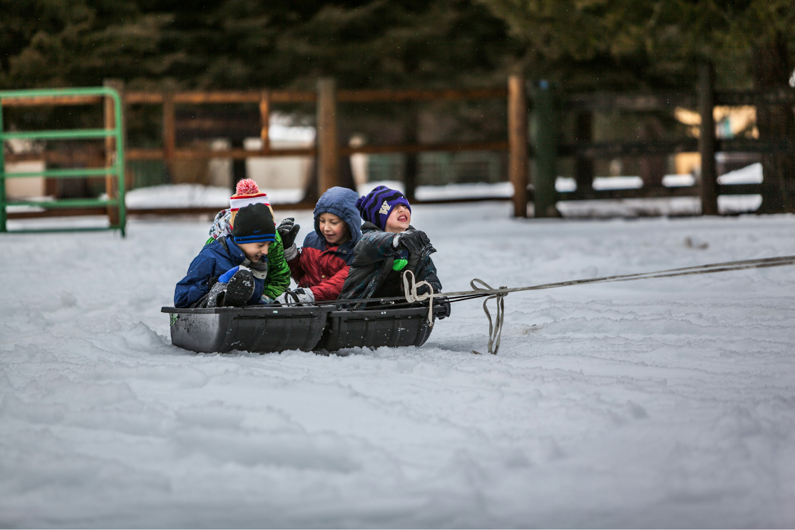 Children riding on a sled together in winter