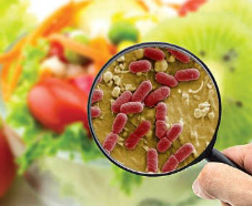 Tác nhân sinh học gây ô nhiễm thực phẩm.olm 