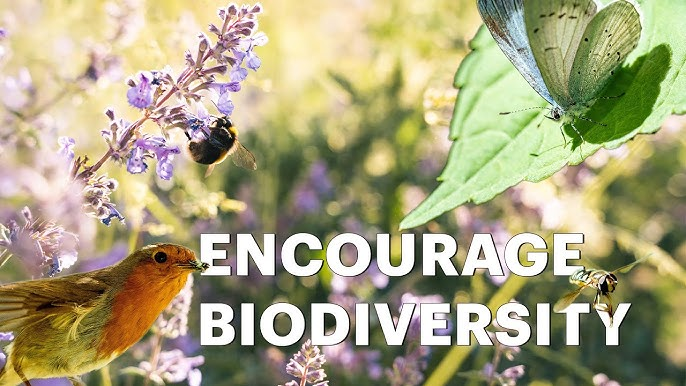 Encouraging Biodiversity