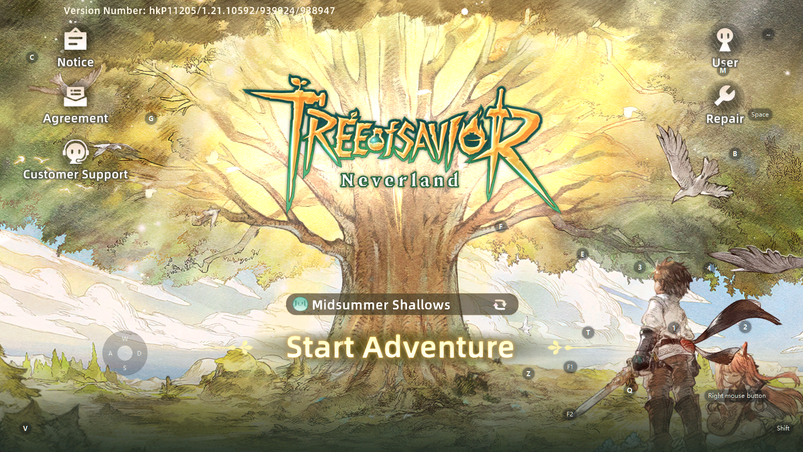 How to Download and Play Tree of Savior: Neverland on PC -Beginners Guide