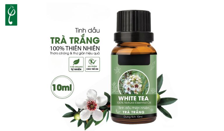 Nước hoa hương trà trắng thanh thoát, dịu nhẹ và dễ chịu