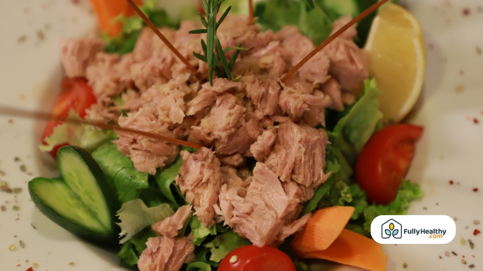 Close-up of a tuna salad