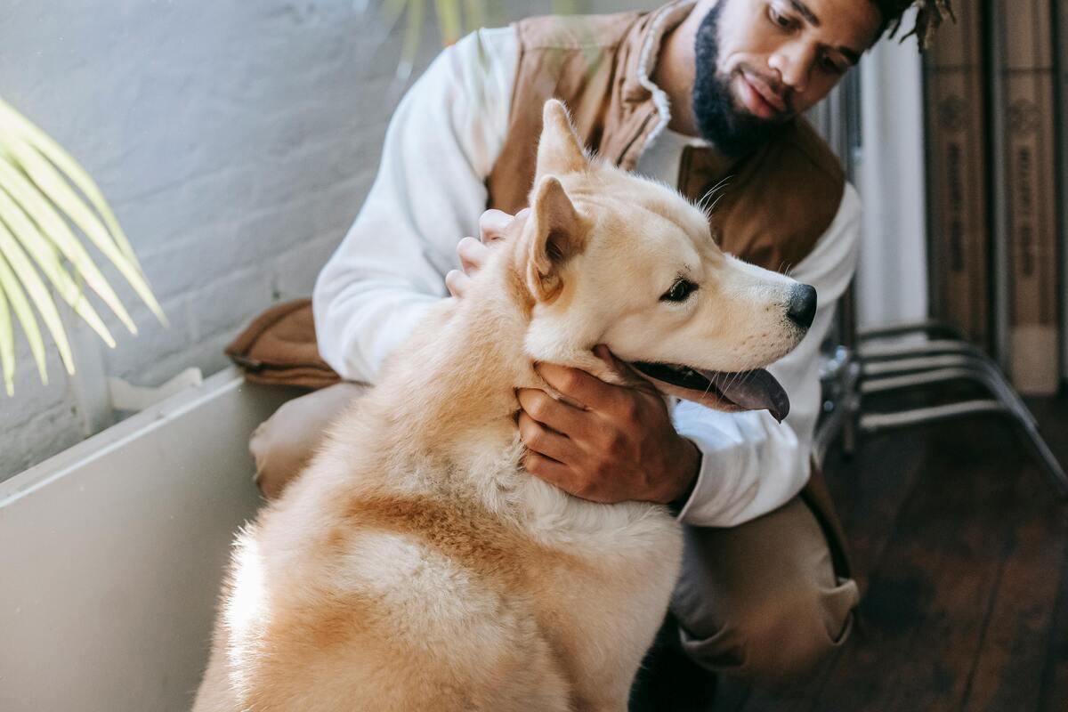 A man petting his dog