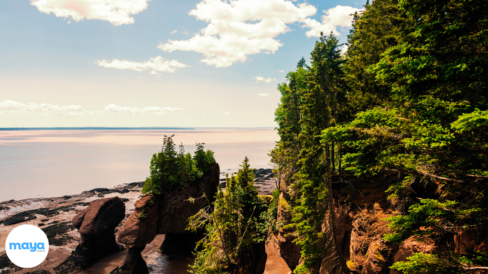 Bay of Fundy, New Brunswick 