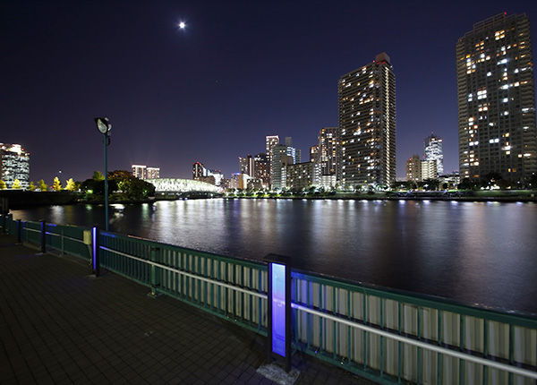 越中島公園からみた夜景の写真