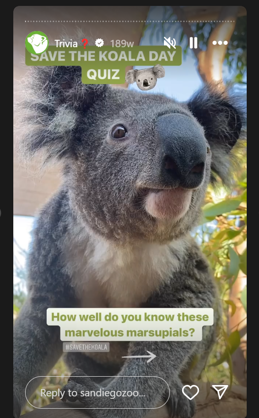 A screenshot of a koala

AI-generated content may be incorrect.