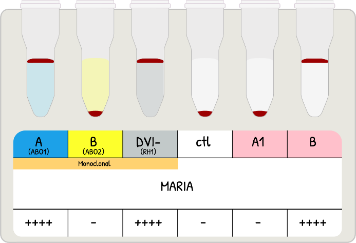 Diagrama, Escala de tiempo

El contenido generado por IA puede ser incorrecto.