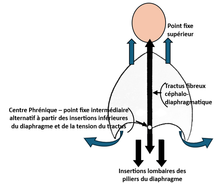 Diagramma

Descrição gerada automaticamente