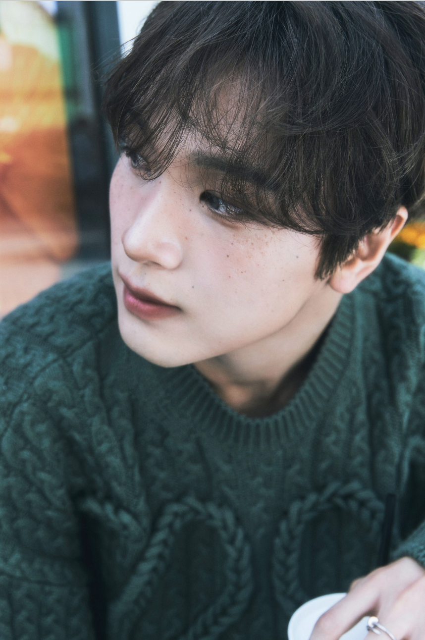 A picture of NCT Haechan recent look wearing a green wooden sweater 