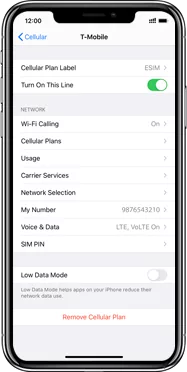 Steps to Delete Your eSIM from Your iPhone
