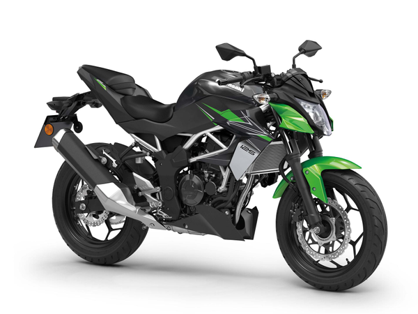 A green and black motorcycle

Description automatically generated