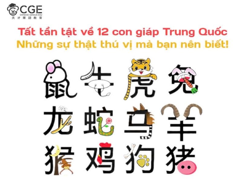 Tìm hiểu 12 con giáp Trung Quốc 