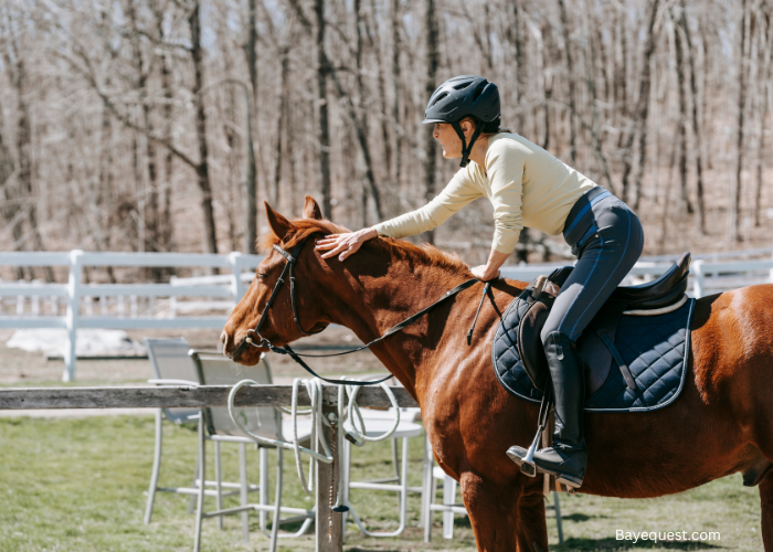 Horse Riding Style