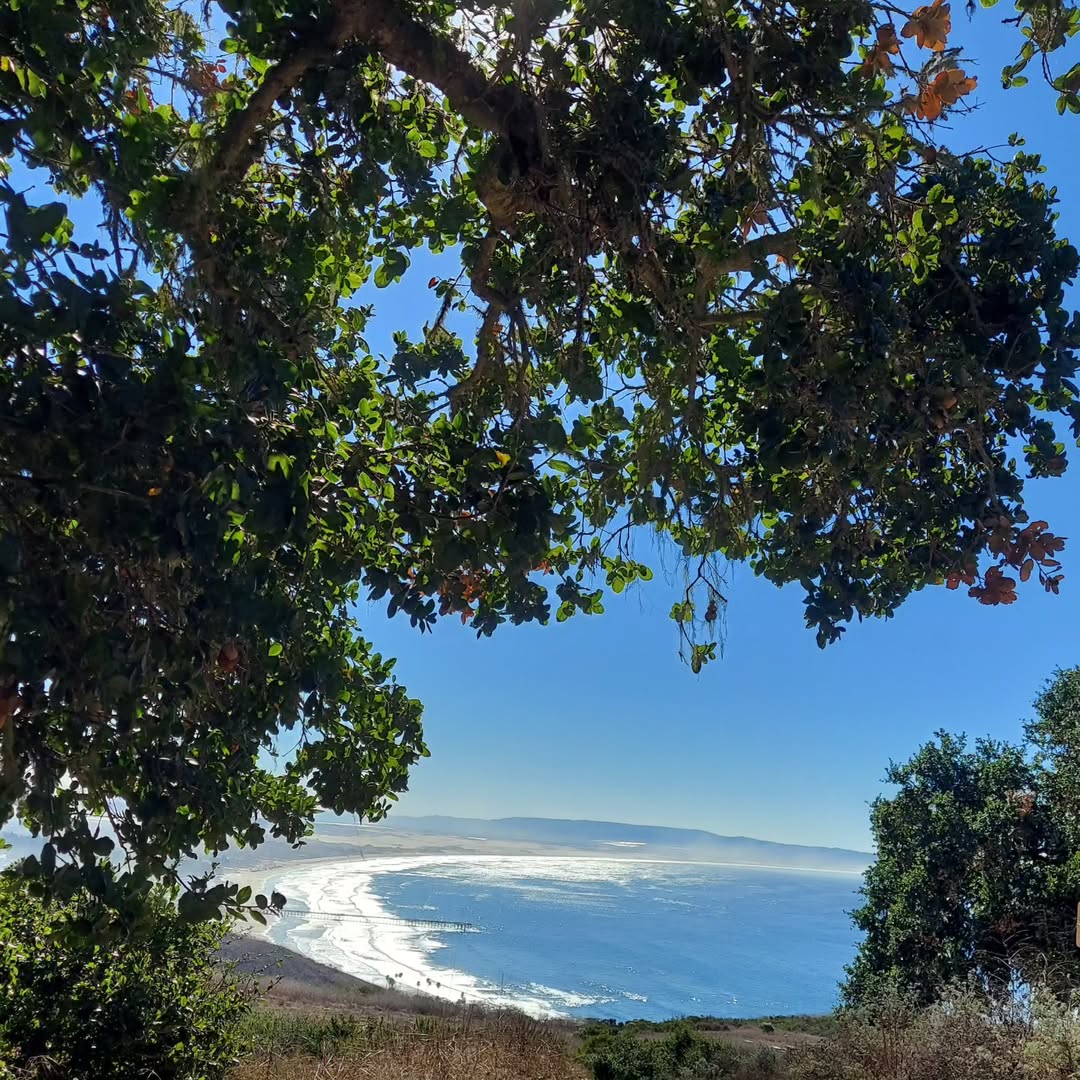 Pismo Preserve