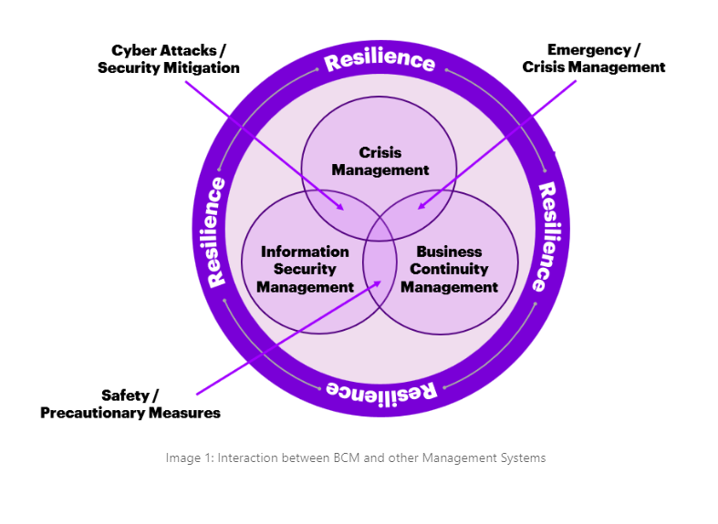 risk management plan in business plan