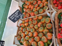 C:\Users\Agustin\Downloads\tomate rambo   20250421_.jpg