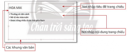 BÀI 9. BÀI TRÌNH CHIẾU CỦA EM