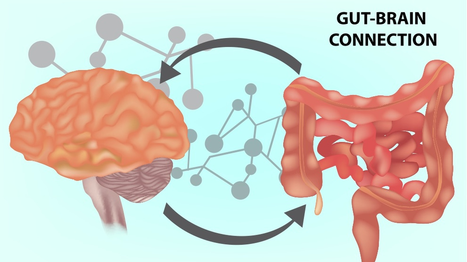 Gut brain connection | Important Microbiome Affects your mental health