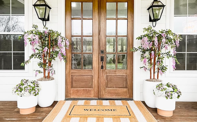 Indoor Plants for Arizona's Desert Climate: The Perfect Solution for Every Home