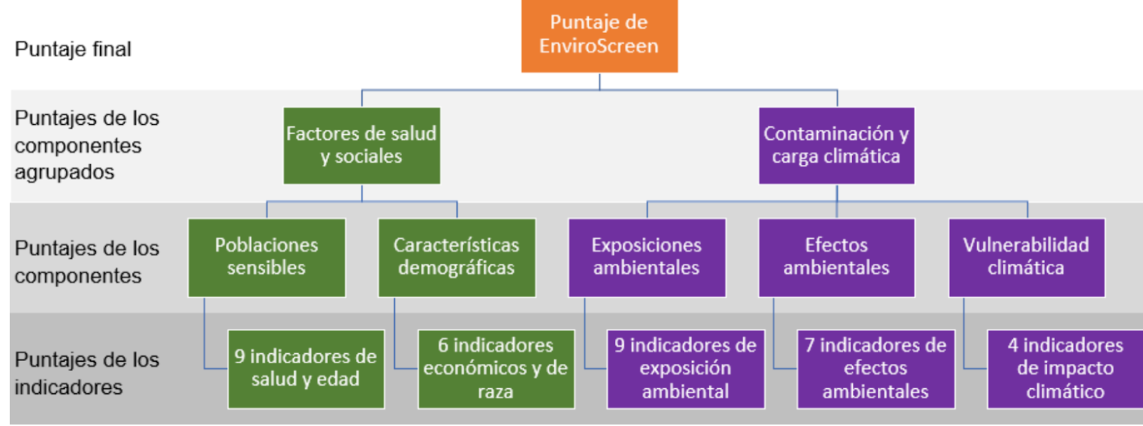 Una gráfica que muestra cómo se compilan 35 puntajes de indicadores y la forma en que estos se usan para determinar un puntaje final de Colorado EnviroScreen. Los detalles están en la descripción de la imagen.