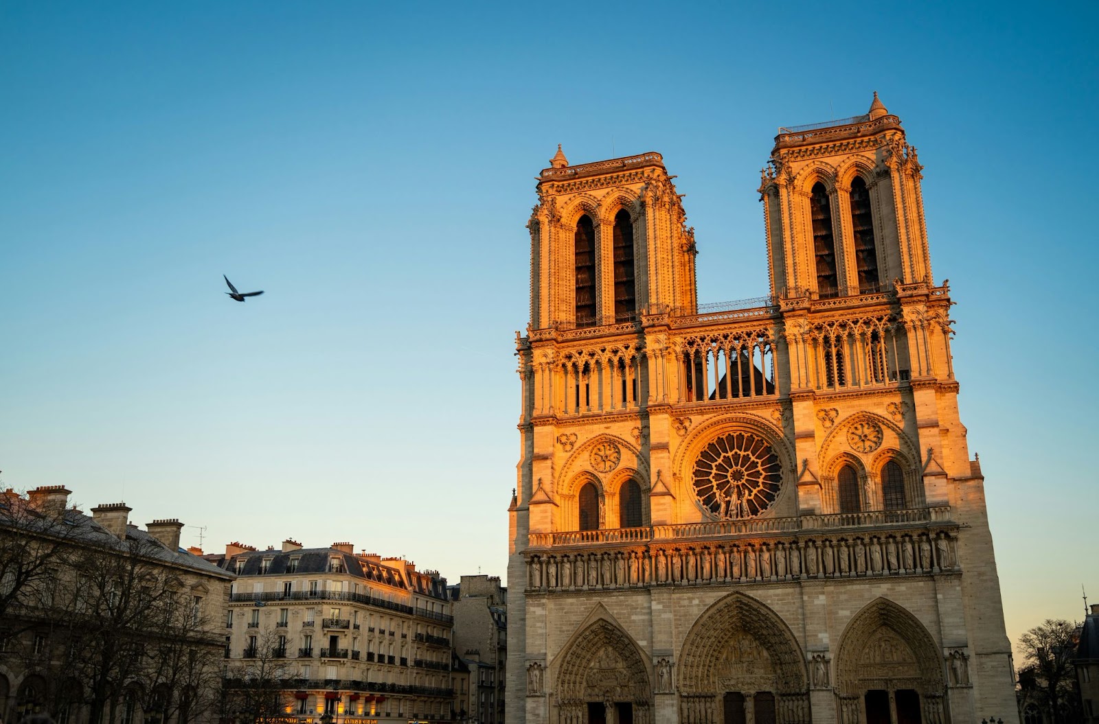 Notre-Dame de Paris after its reopening to the public