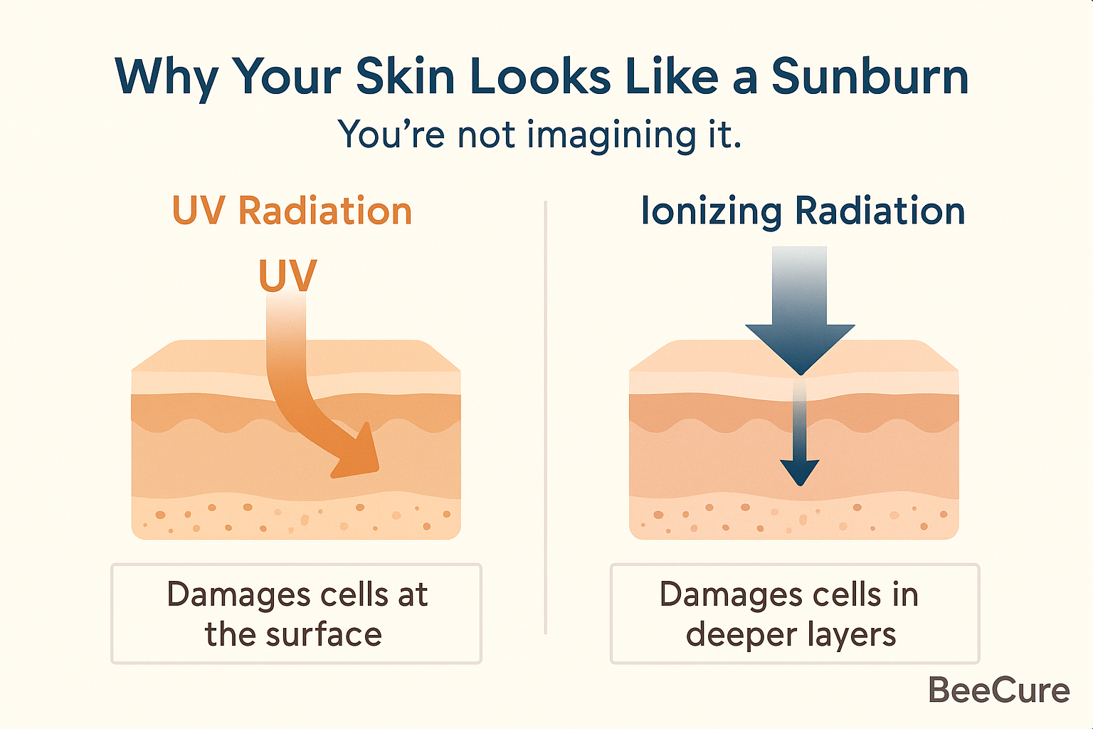 A diagram of skin types

AI-generated content may be incorrect.