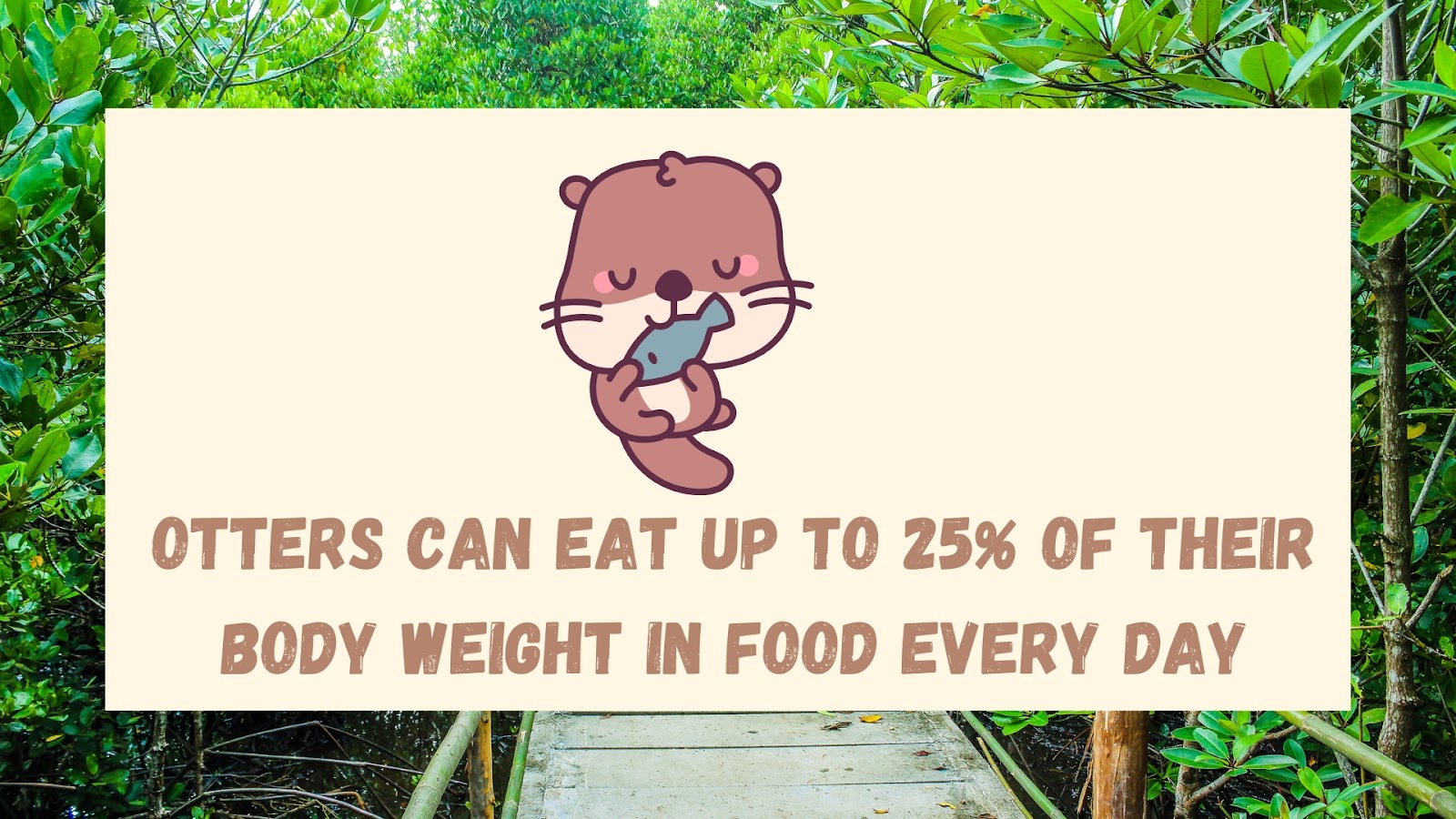 Otters can eat up to 25% of their body weight in food every day