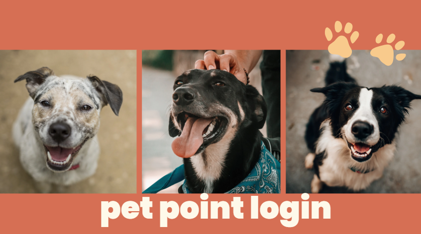 PetPoint login
