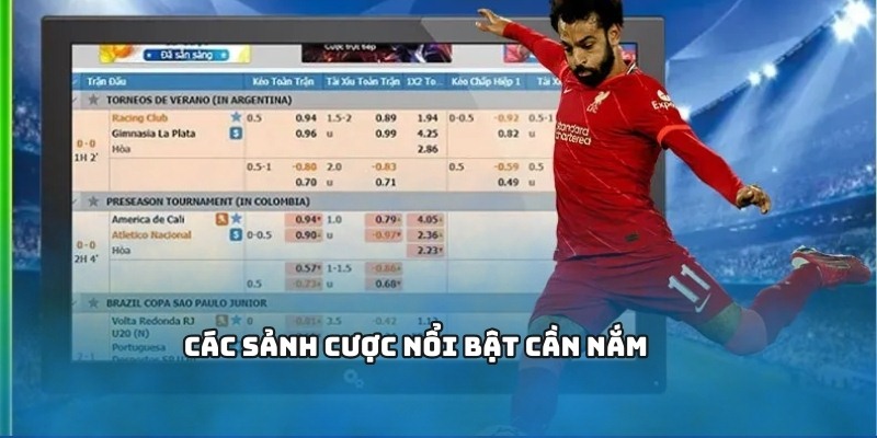 Các sảnh cược nổi bật cần nắm
