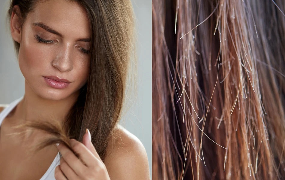 Woman checking split ends in hair — close-up comparison shows what causes split ends and how to treat them.