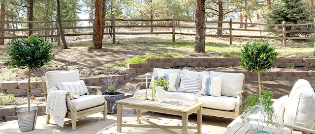 Indoor Plants for Arizona's Desert Climate: The Perfect Solution for Every Home