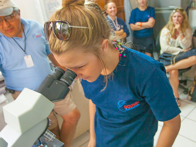 Girl looking through a microscope