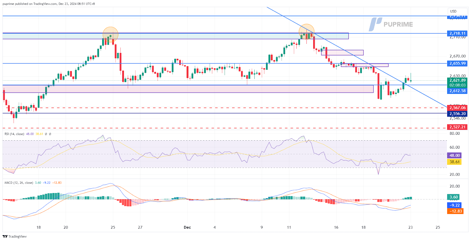 xau/usd gold price chart 23 December 2024