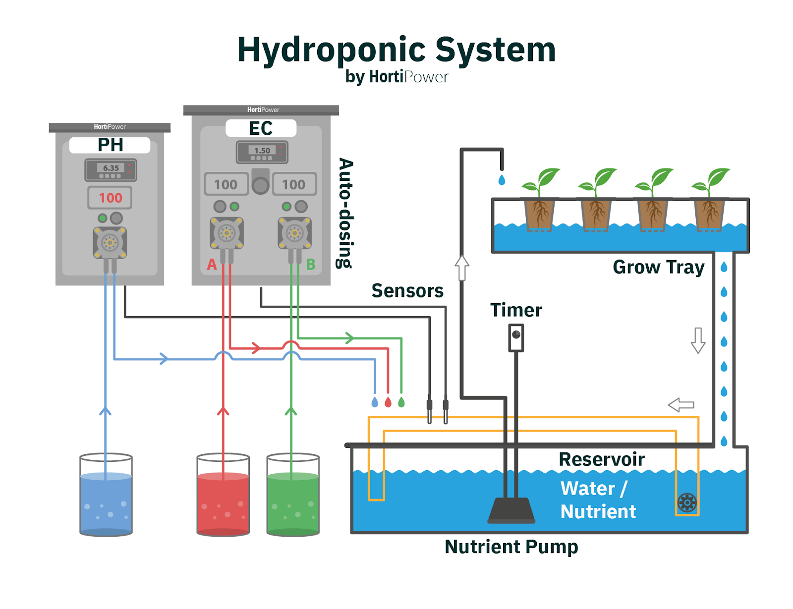 HOME: Hydroponics for beginners | how to get started – HortiPower